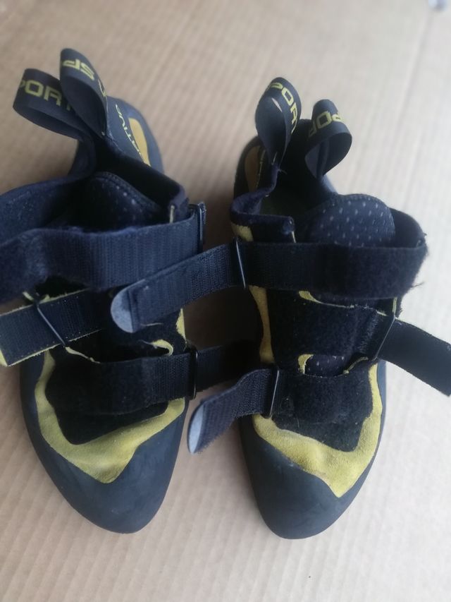 Piedi di gatto rampicanti