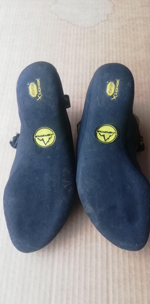 Piedi di gatto rampicanti