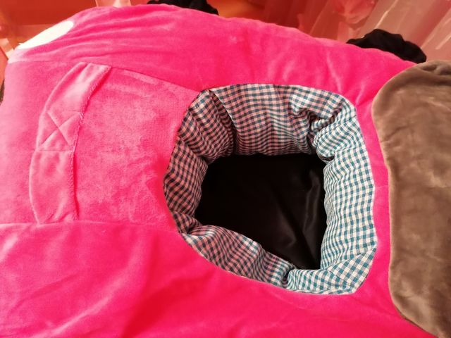 coche de aprendizaje