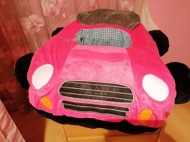 coche de aprendizaje