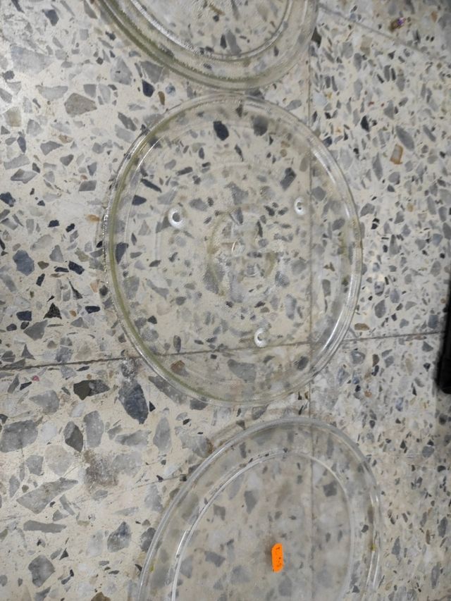 PLATO MICROONDAS 3 TAMAÑOS