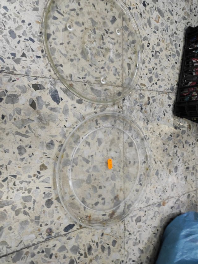 PLATO MICROONDAS 3 TAMAÑOS