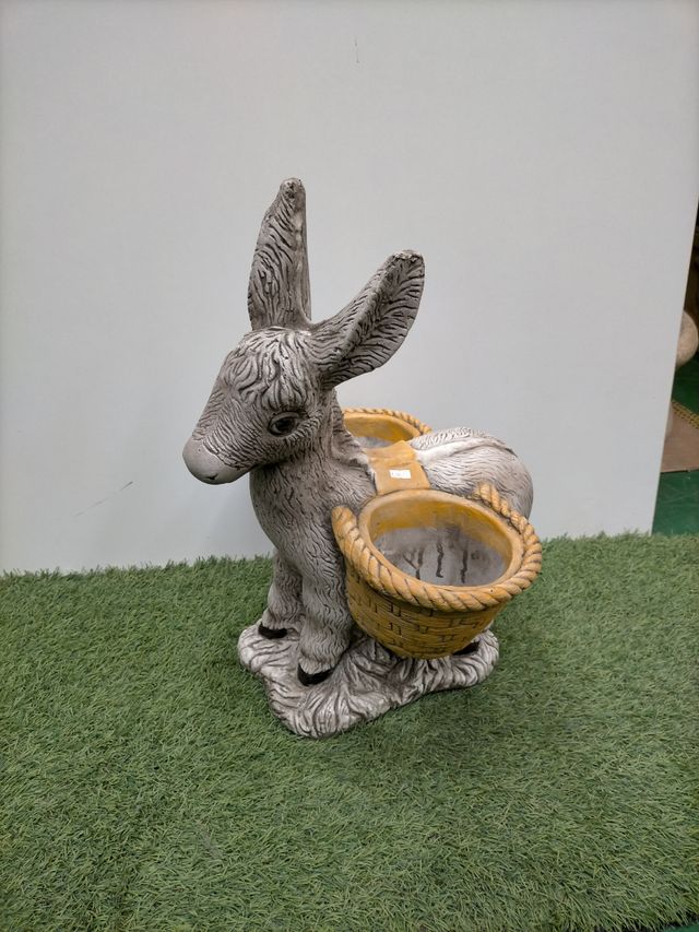 BURRO PIEDRA