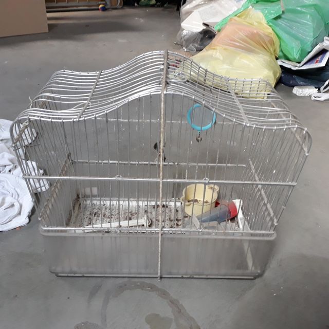 jaulas hamster y pájaros