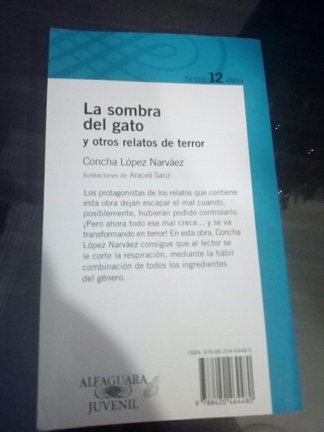 la sombra del gato negro