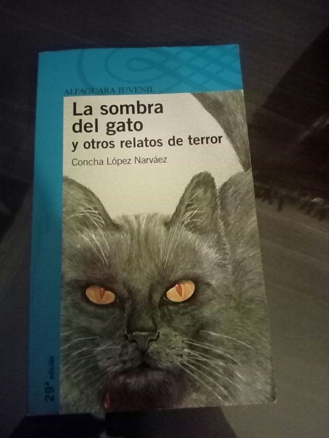 la sombra del gato negro