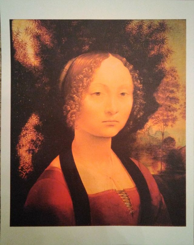 Laminas  rebajadas.Con una regalo otra de mi perfi