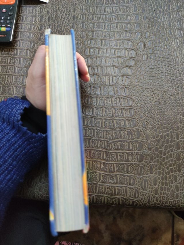 Gerónimo Stilton tercer viatge al regne de la fant