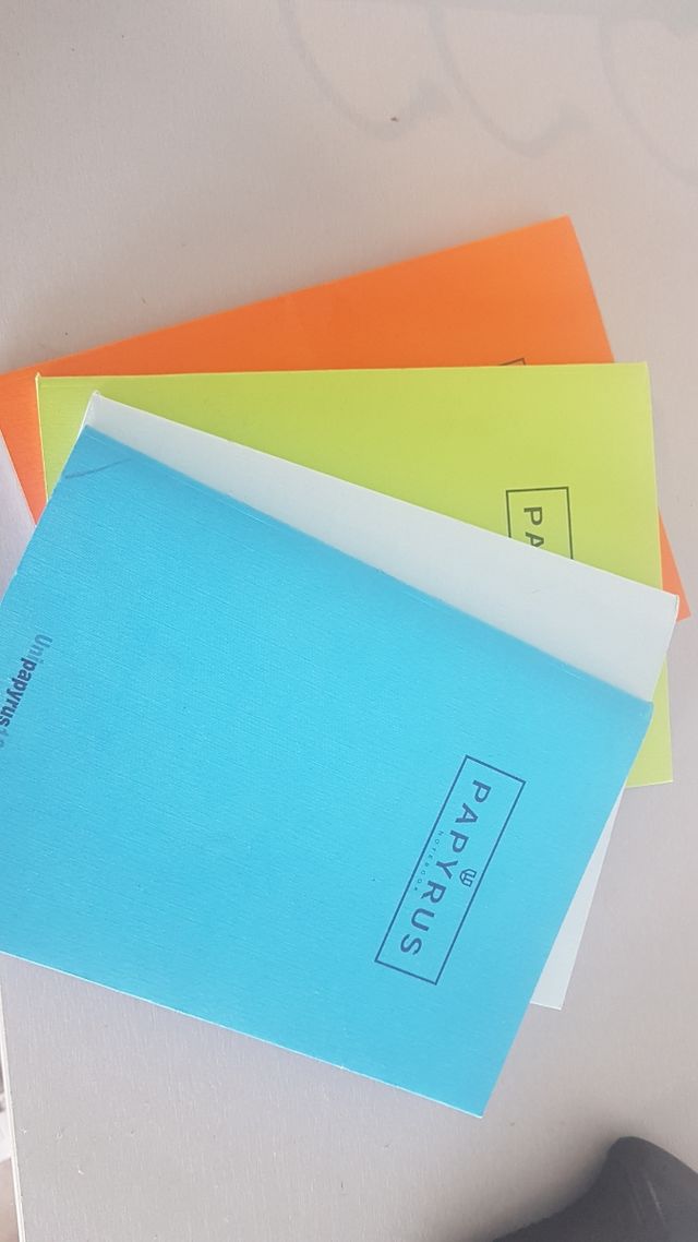 4 Libretas A5 pautadas Papirus