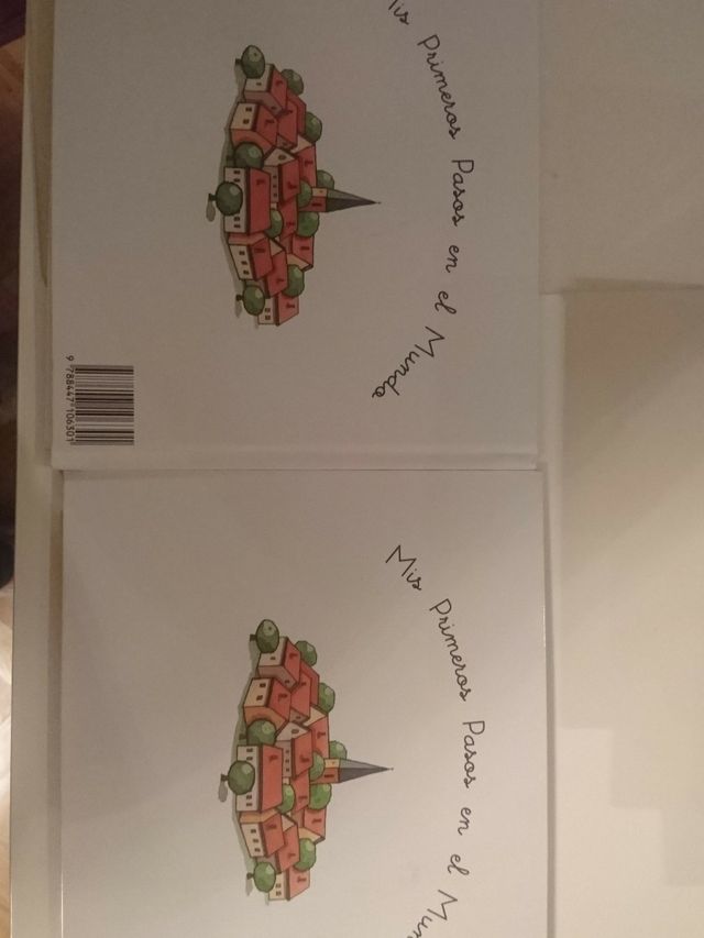 Mis primeros pasos en el mundo