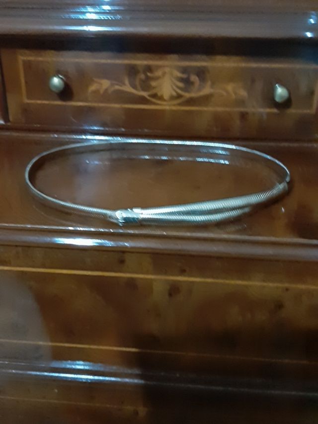 cintura serpente dorata