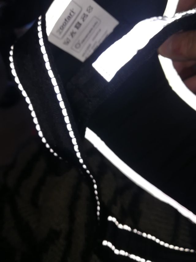 Arnés divertido para perro de 7 a 12 kilos