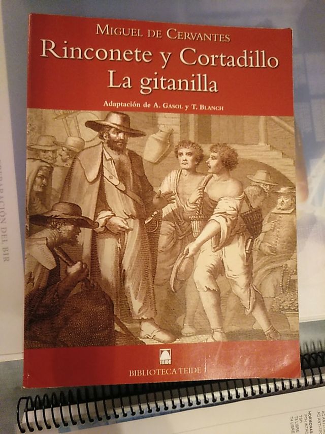 Rinconete y Cortadillo. La gitanilla
