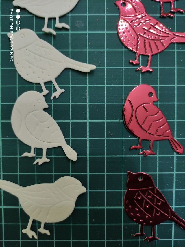 Pájaros 10x1,50€