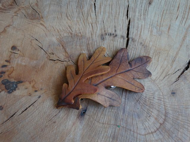 Horquila de hojas de roble