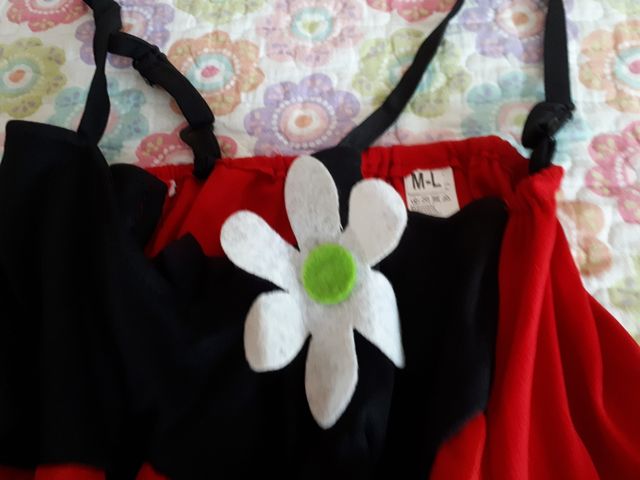 DISFRAZ ADULTO. LADY BICHO