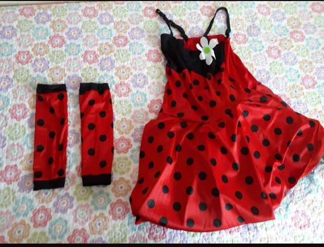 DISFRAZ ADULTO. LADY BICHO