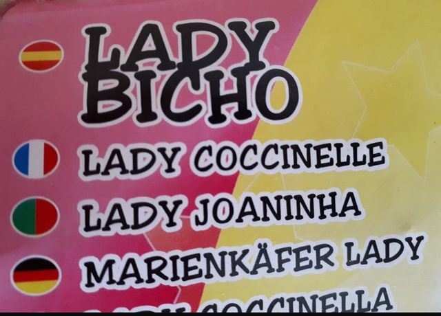 DISFRAZ ADULTO. LADY BICHO