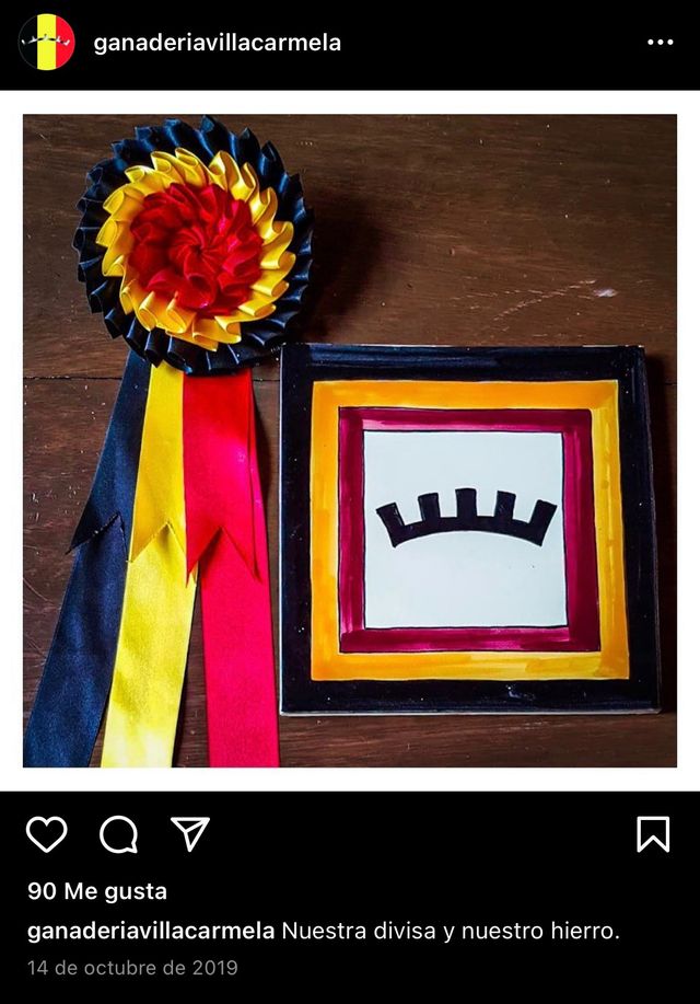 Divisa Villa Carmela México  entrada