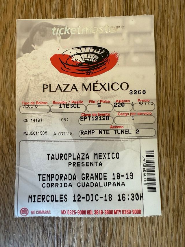 Divisa Villa Carmela México  entrada