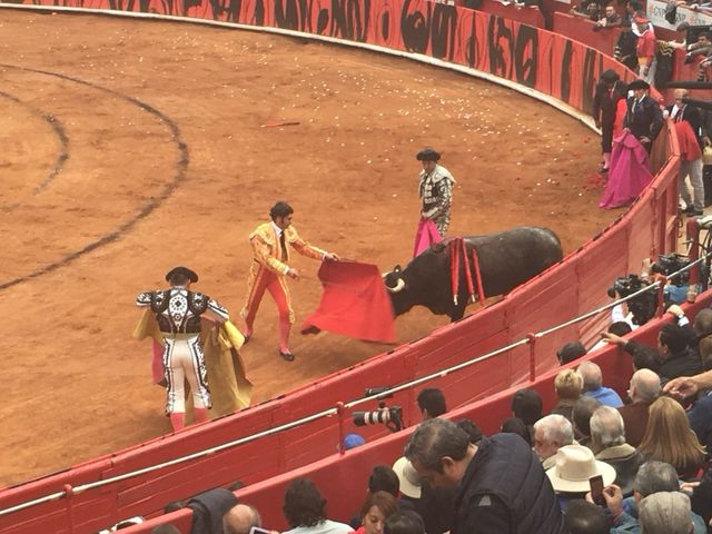 Divisa Villa Carmela México  entrada