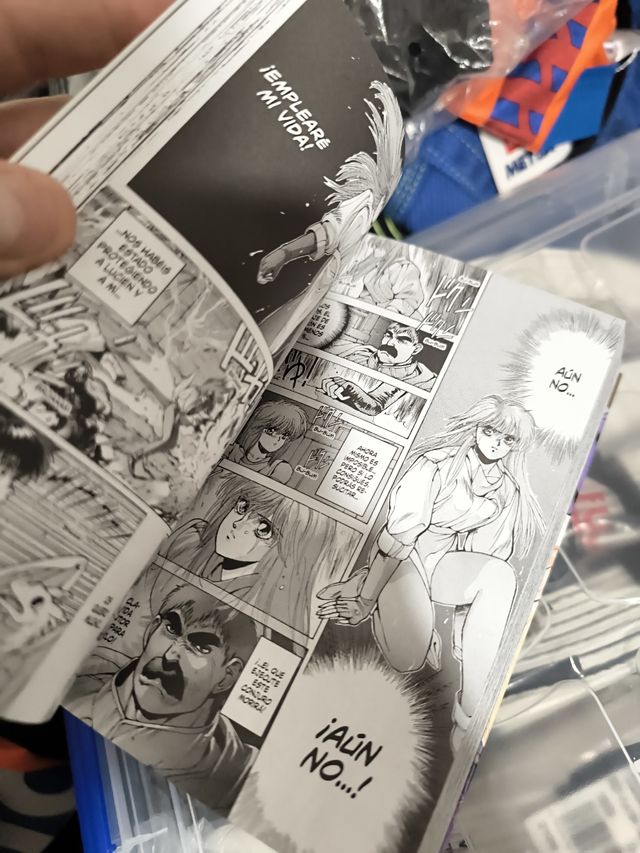 Lote 4 primeros tomos - Bastard!!