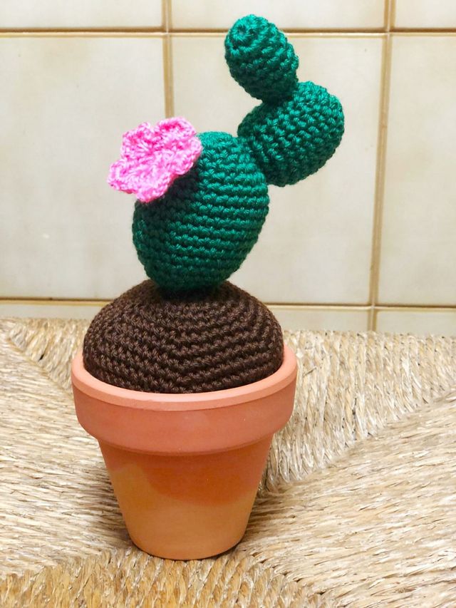 Cactus Crochet 23 cm Amigurumi / ideal regalo prof