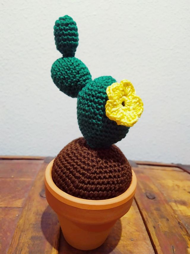 Cactus Crochet 23 cm Amigurumi / ideal regalo prof