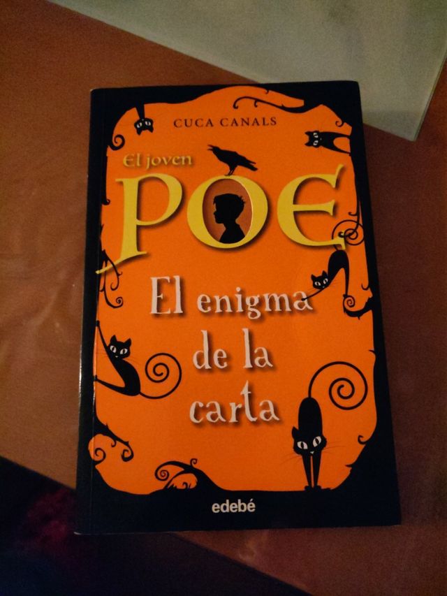 el joven poe.el enigma de la carta