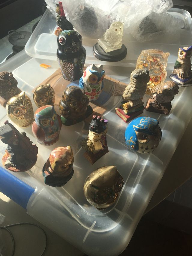 Collezione di più di 100 gufi.