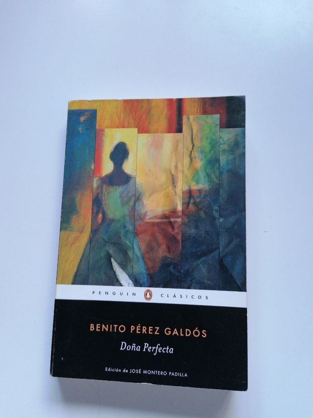 Doña perfecta