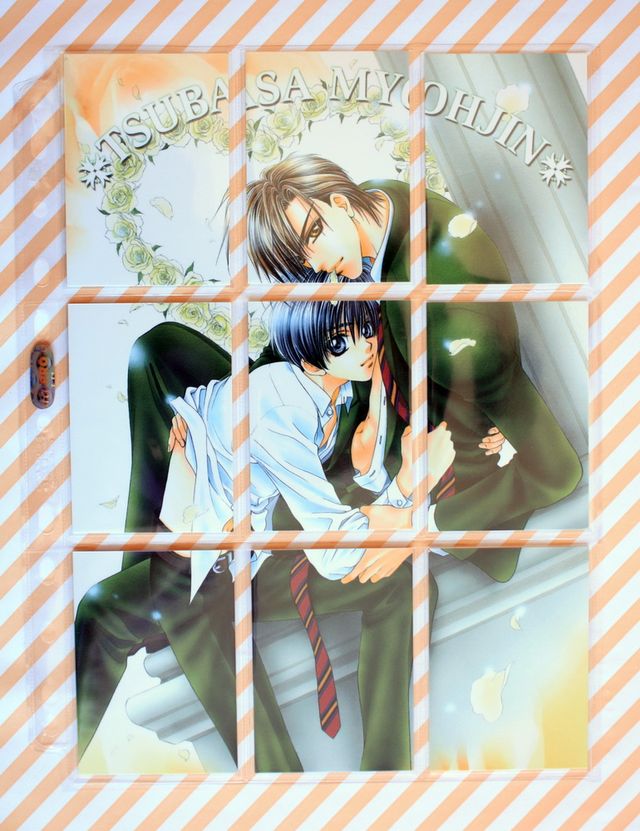 Tsubasa Myohjin Trading Card Collection