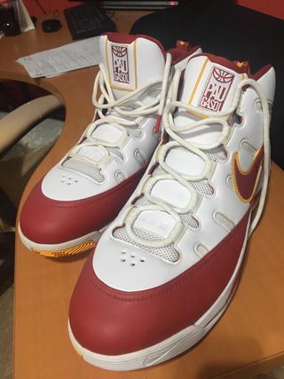Zapatillas Nike usadas por Pau Gasol de segunda mano por 2.400 EUR en  Talavera de la Reina en WALLAPOP