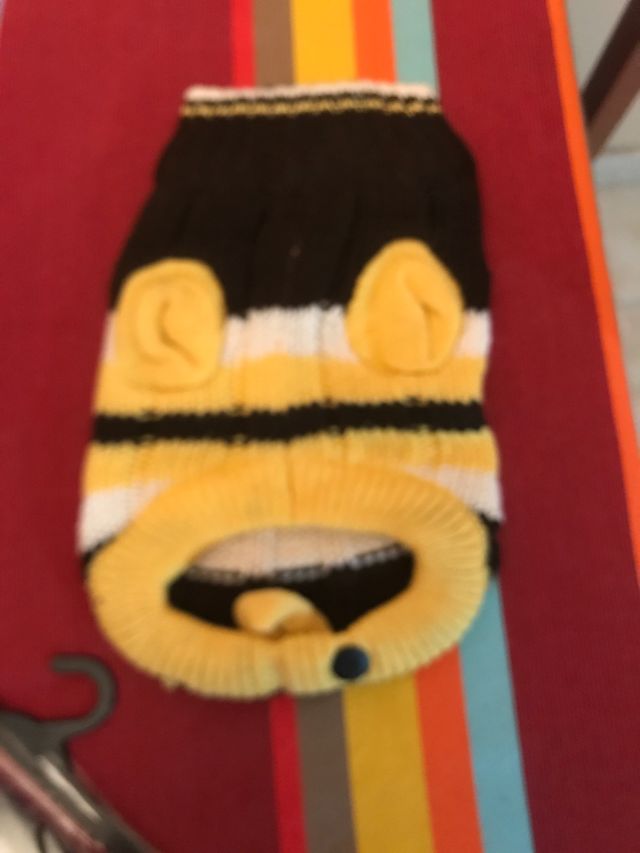 Jersey para perro
