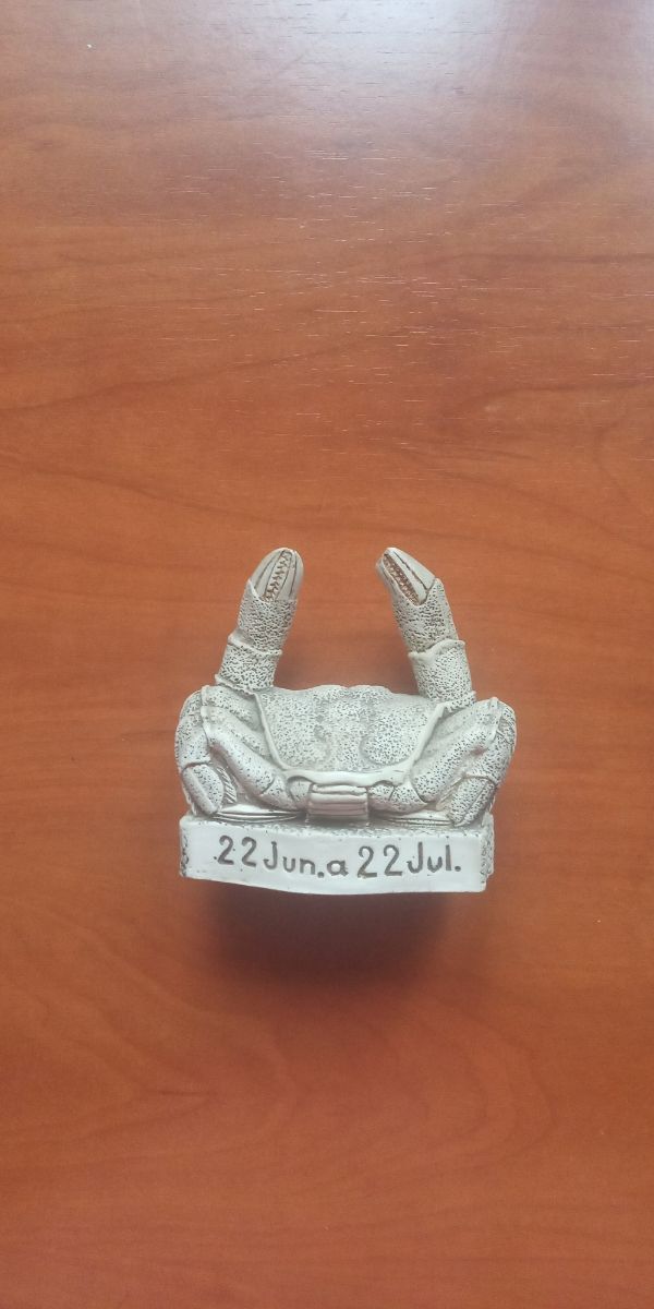 Figuras zodiaco de escayola 8×8