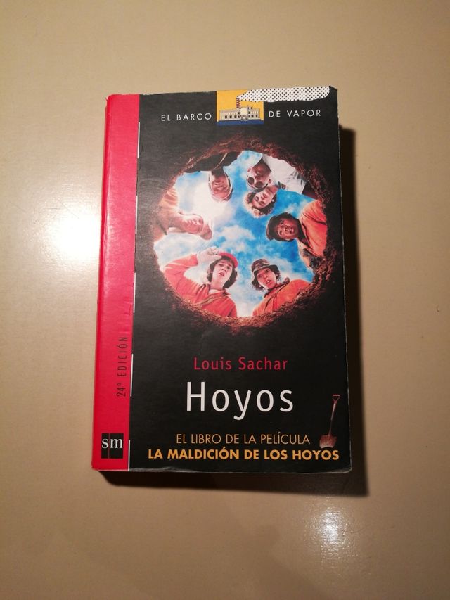 Libro Hoyos El Barco de Vapor
