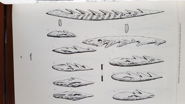 Homenaje al Dr. Joaquín González Echegaray