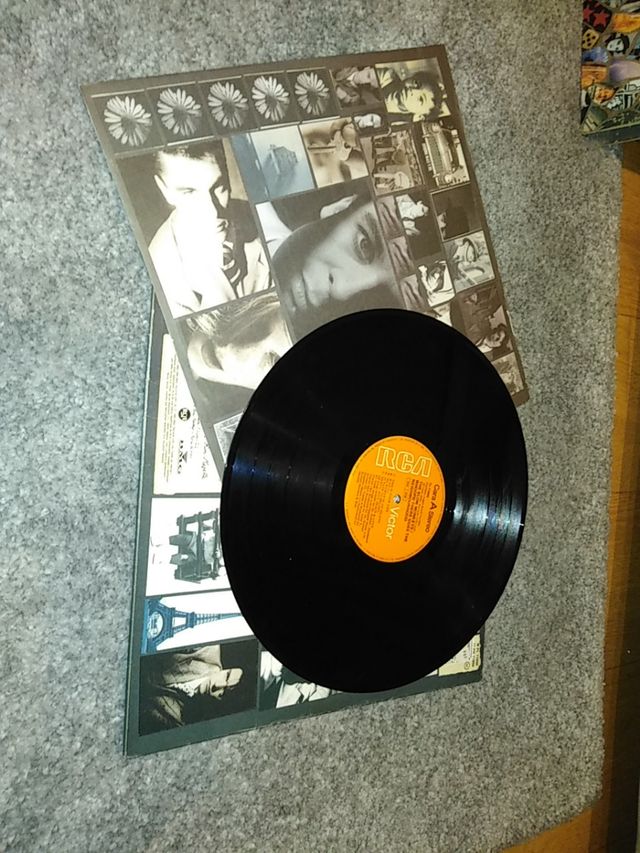 🔴 Le scimmie del colpo - Whoops! C'è il... LP