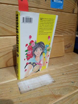 Manga IV
