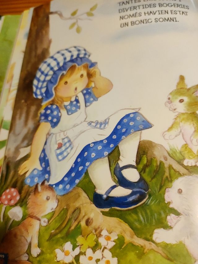 12 CONTES CLÀSSICS PER SOMIAR ( llibre )