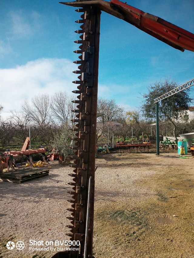 Rabin de segar alfalfa heno etc