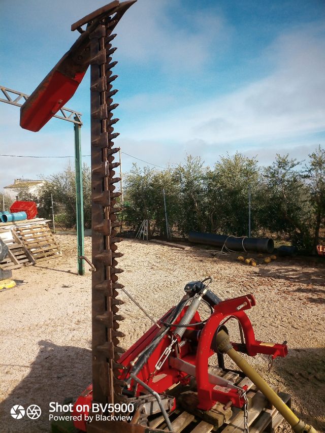 Rabin de segar alfalfa heno etc