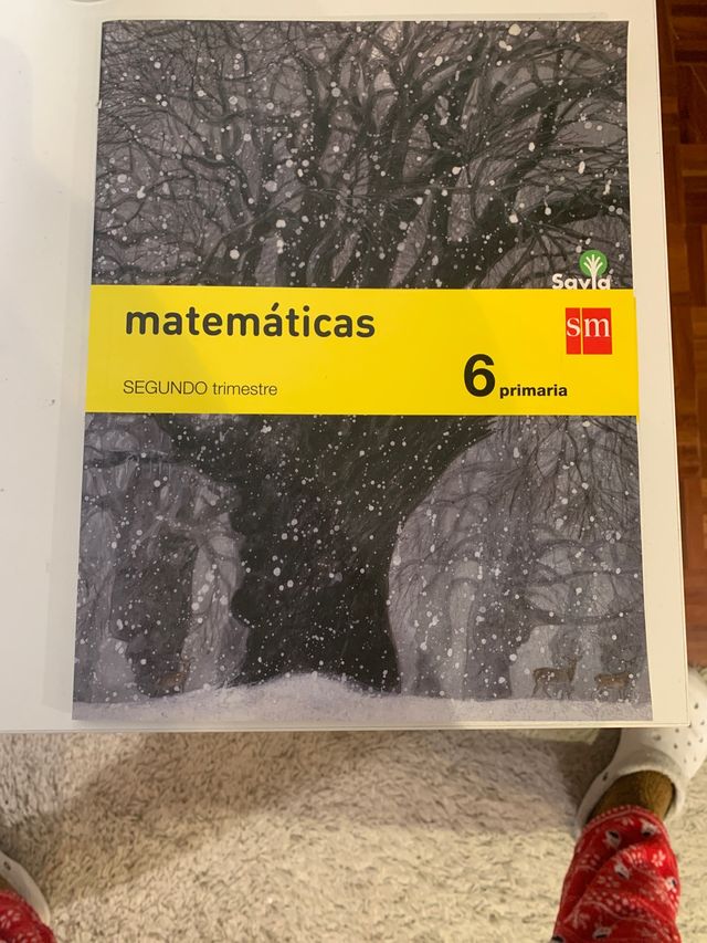 Matemáticas 6 de primaria