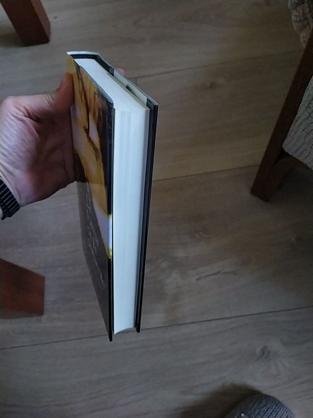 La forma de la serpiente. Minette Walters