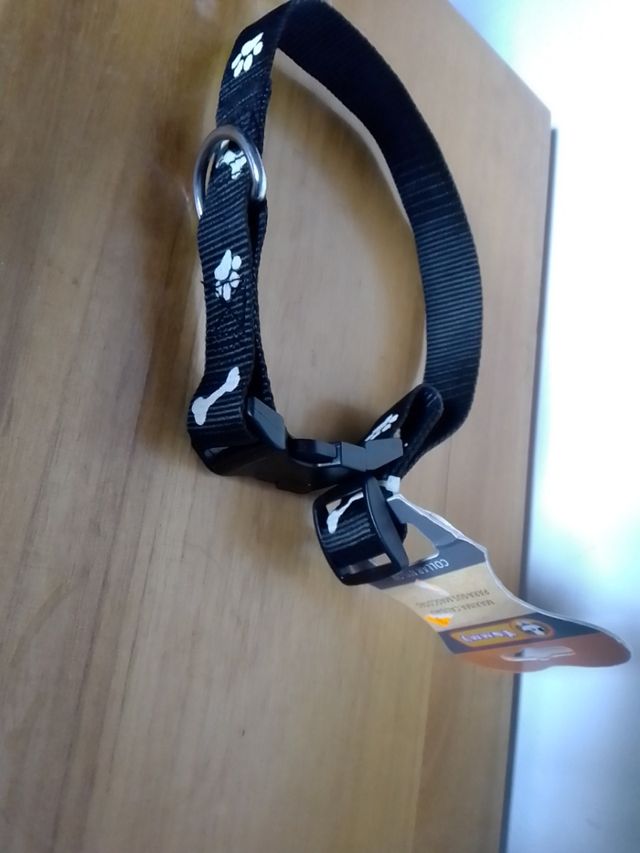 Collar perro