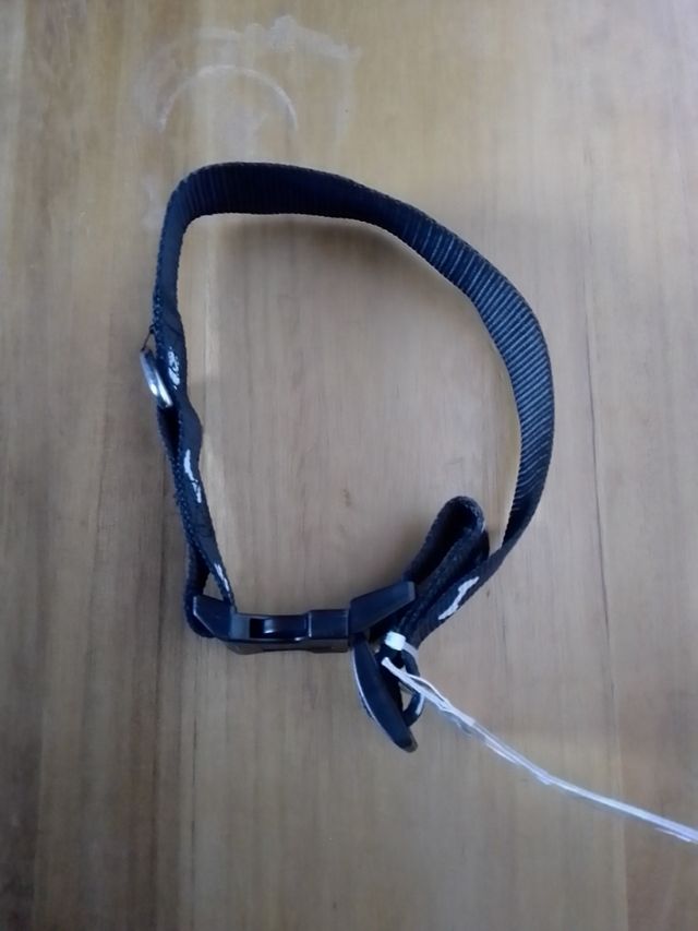 Collar perro