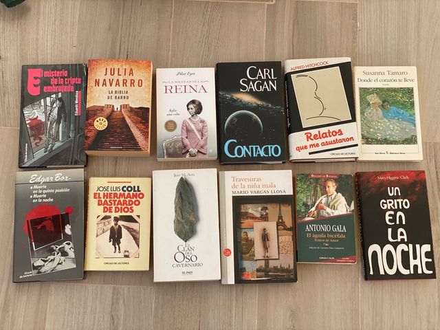 Lote de 12 libros novelas