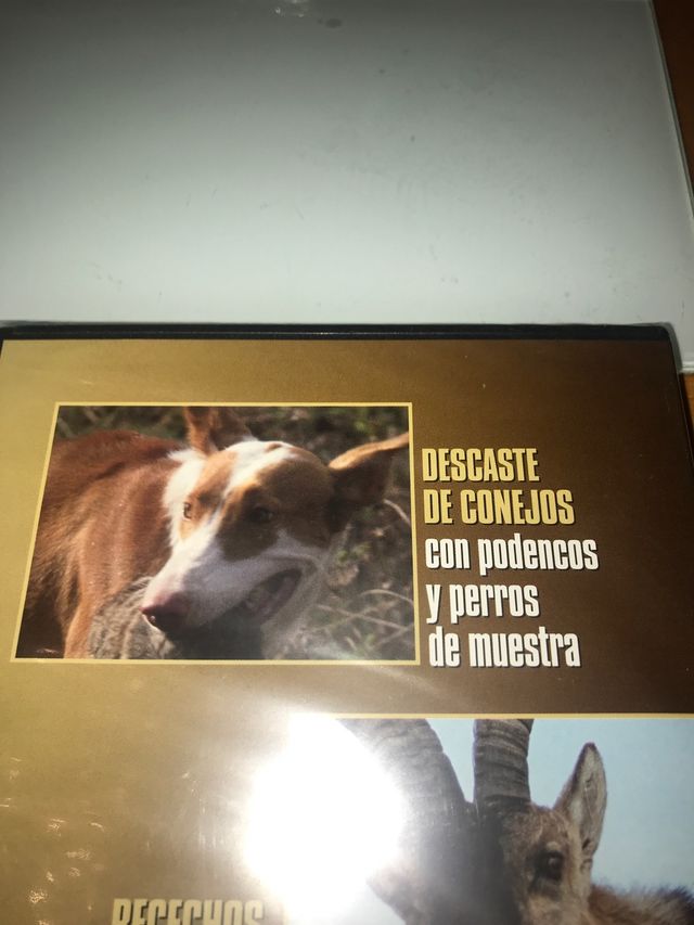 Dvd caza descaste conejos podencos perro muestra r