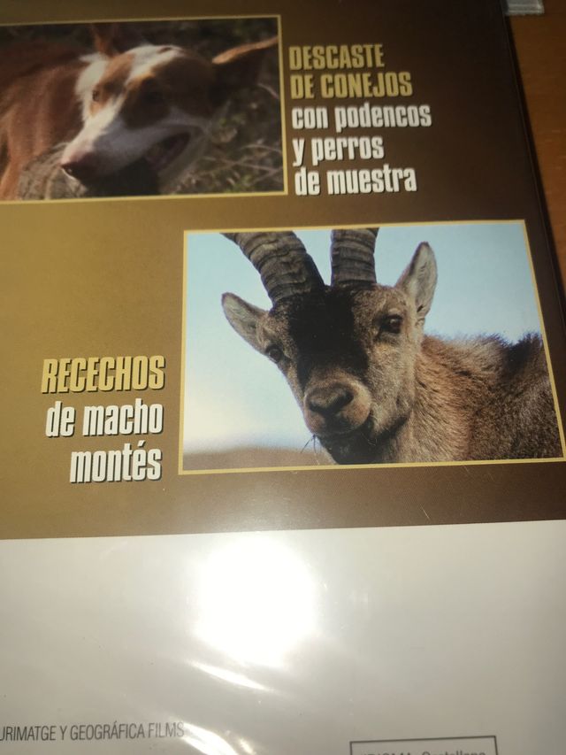 Dvd caza descaste conejos podencos perro muestra r