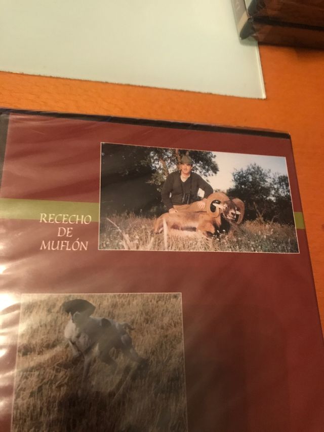 Dvd caza doble bravo pointer mugrón rececho